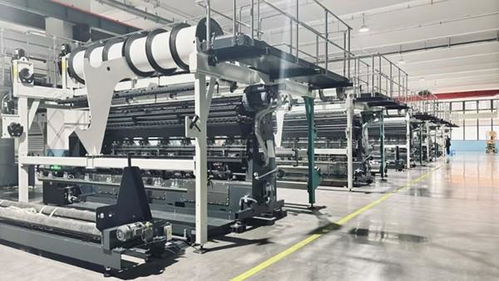 資陽安岳 先進(jìn)設(shè)備強(qiáng)勢賦能 鞋服產(chǎn)業(yè)鏈再延伸