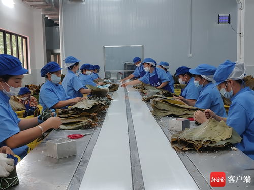 萬粽飄香忙出單，和樂粽企迎戰端午生產高峰